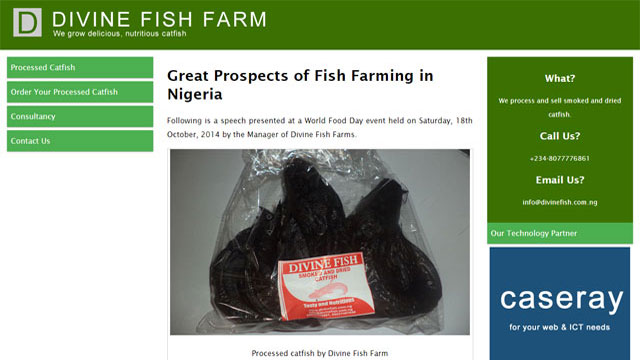 Branding and business technology support of Divine Fish Farm provided by Caseray Solutions Limited